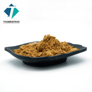 Extracto de Horsetail en Polvo 100% Puro de Alta Calidad y Bajo Precio - Product Image 3