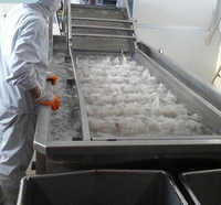 Spray-type bubbelreinigingsmachine voor het verwijderen van onzuiverheden in kreeften, zeevruchten, fruit, groenten, assemblagelijnen en het reinigen van garnalen.
