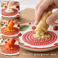 Populaire fijne puree babyvoeding keukenhulp decoratief fruitpatroon 3D conische tanden handmatige keramische gember-knoflook raspplaat