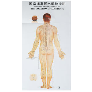 معيار البلد الوخز بالإبر رسومات للجدار جسم الإنسان نقاط الوخز بالإبر ميريديان خريطة تعليم الرسم البياني - Product Image 3