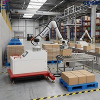 Système de palettisation automatisé pour conteneurs en plastique de 1600 mm de hauteur, certifié CE, pour centre de distribution logistique et entrepôt