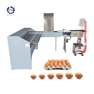 Trieuse d'oeufs de poule/machine de niveleuse d'oeufs Philippines/machine de tri d'oeufs à vendre