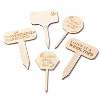 Étiquettes en bois vierges pour plantes succulentes, marqueurs de plantes en forme de T, ronds et hexagonaux, piquets de jardin, étiquettes pour plantes en pot, légumes, fleurs et graines