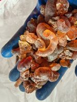 Gomme de pêche naturelle en granulés, qualité industrielle, épaississant, matière première, vente en gros par lots, MOQ 1KG, directement des fabricants