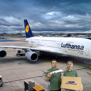 चीन से लेकर यूके तक लॉजिस्टिक्स शिपिंग कंपनी जर्मनी के जर्मन अमेज़ॅन एफबा फ्रेट फारवर्डर dp/du एक्सप्रेस डिलीवरी डोर टू डोर - Product Image 3