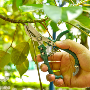 Tijeras de podar Green Bypass de 15.5 cm con hoja de acero inoxidable y mango de plástico, herramienta de jardín para recortar plantas - Product Image 3