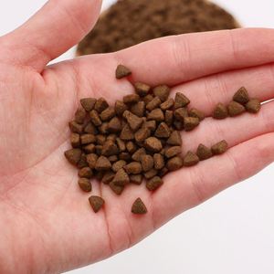 Aliments <span class=keywords><strong>pour</strong></span> chiens OEM 10KG 20KG Aliments <span class=keywords><strong>pour</strong></span> chiens crus naturels secs saveurs multiples <span class=keywords><strong>pour</strong></span> tous les âges - Product Image 2