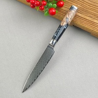 Damascus Messenset Japanse Stijl Groente Fruit Uitbeenmes Multifunctionele Commerciële Keukenmessenset