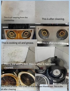 <span class=keywords><strong>Desengrasante</strong></span> <span class=keywords><strong>Industrial</strong></span> Ecológico Concentrado - Fórmula Potente y Biodegradable para Grasa de Cocina y Taller Mecánico - Product Image 3
