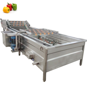 Ing Air Bubble Automatic Dragon Fruit Washing Machine - Product Image 1