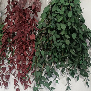 Branches d'<span class=keywords><strong>eucalyptus</strong></span> séchées naturelles et préservées, de couleurs mélangées, à feuilles fines, type Gunni, pour la décoration de la maison, des vases, des tables et des murs - Product Image 3