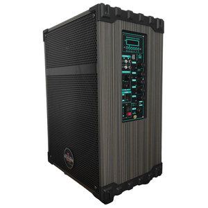 10 Inch 80W <b>Bluetooth</b> Portable Speaker With SD <b>USB</b> Rechargeable Trolley Design - Product Image 2