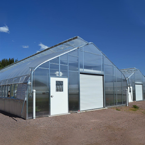Invernadero de Fábrica Baolida de 8x37.5m y 4m de Altura con Puerta, Techo de Lámina y Película de Polietileno para Jardín Trasero - Product Image 2