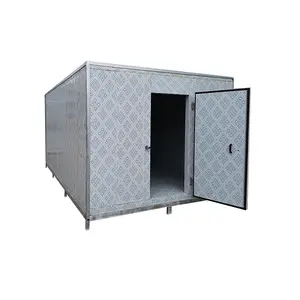 5hp Food Cold Storage Frozen Food Cold Storage Room Vegetable Blast Freezer Cold Room Container CE Customized Provided 3 Years