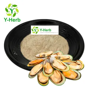 Green Lipped Mussel P.E. Pure New Zealand Green Lipped Mussel Extract Bulk Mussel Extract Powder