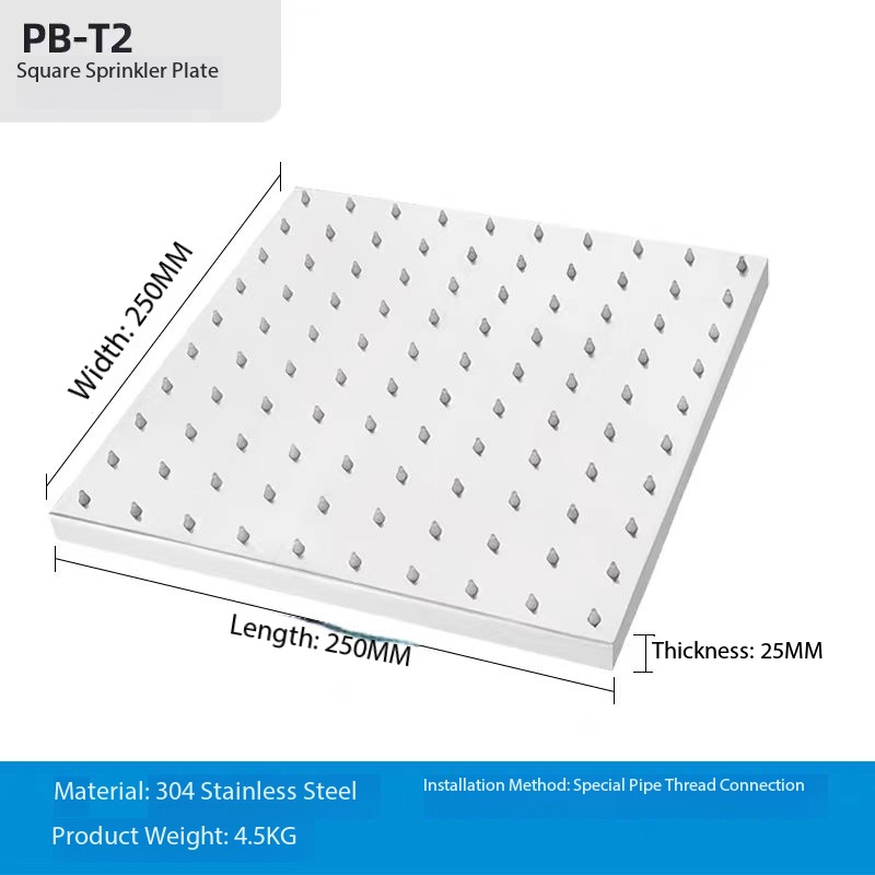 PBT2 Pommeau de douche 250*250mm