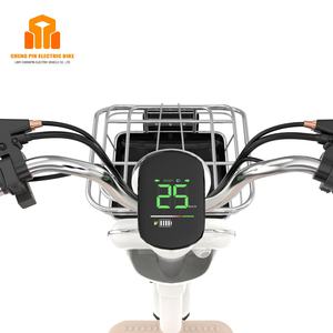 Offre Spéciale 50W 500W puissance 48V/60V/72V vélo électrique batterie au plomb vélo électrique à deux roues - Product Image 6