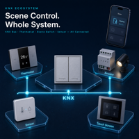 Panneau tactile KNX 2 voies 2 gangues Smart Life, télécommande pour lumières et rideaux, gamme complète de modèles, prix abordables