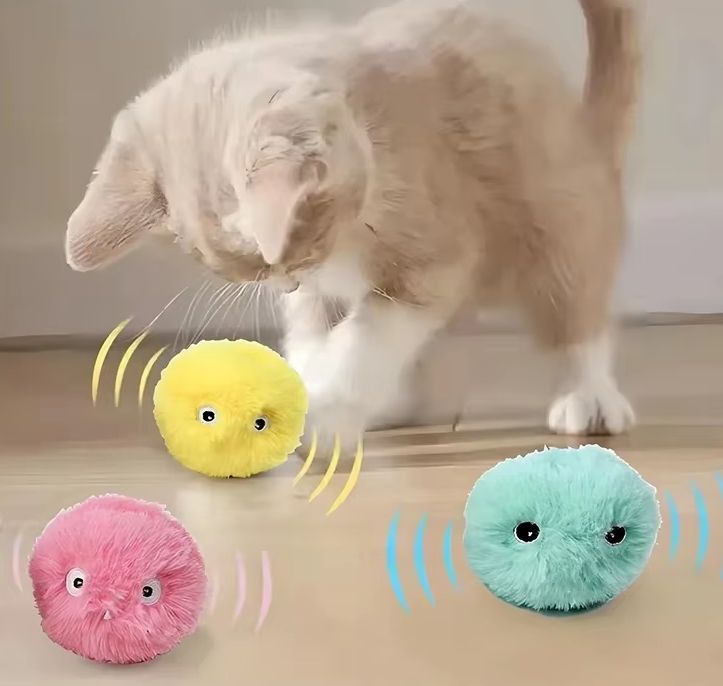 Choose one out of three