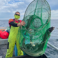 Trampa Plegable de Resorte Directa de Fábrica, Red de HDPE, Alambre de Acero, Jaula para Pesca de Cangrejos, Recipientes para Cebo, Negra 70x110cm