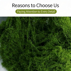 Musgo Preservado Duradero <span class=keywords><strong>en</strong></span> Oferta, Planta de Musgo Artificial, Musgo Natural Real para Decoración del Hogar y la Sala de Estar - Product Image 5