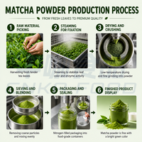OEM Nouvelle Poudre de Thé Vert Matcha Instantané de Haute Qualité Sans Additifs, Sain, en Vrac, Sachet, Bouteille et Boîte Sous Vide