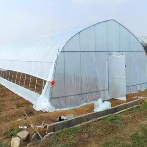Serre agricole Sinok à dôme tunnel, simple travée, 30/40/<span class=keywords><strong>60</strong></span>*8m, avec ventilation latérale, style chinois, pour fraises, à <span class=keywords><strong>vendre</strong></span> - Product Image 1