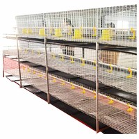 Cage à Poulets de Chair Galvanisée à Froid en H à Trois Niveaux, Meilleure Vente, pour Ferme et Usage Domestique
