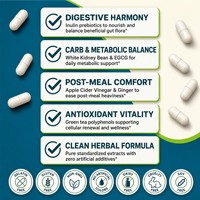 Capsules d'équilibre métabolique intestinal OEM ODM avec Inuline et Haricot Blanc pour la digestion et le métabolisme – Prix de gros direct usine