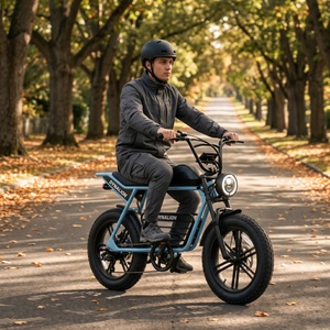 Vélo électrique à pneus larges 48V avec batterie amovible, freins à disque doubles pour une conduite tout-terrain - Product Image 3