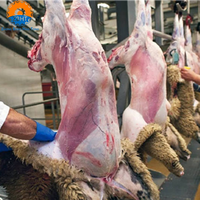 Rumah Potong Hewan (RPH) Domba Kambing Halal ZBHT, Peralatan Pemotongan, Mesin Pengolahan Daging, Dukungan Kustomisasi