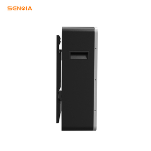 Batería de Litio Económica para Sistema de Almacenamiento de Energía Solar de Uso Doméstico, Montada en Pared, 51.2V 100AH, en Stock - Product Image 2
