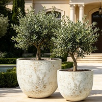 Jardinières en ciment sculptées à la main, de style américain, grandes, pour l'intérieur et l'extérieur, écologiques, durables, pour la maison et le jardin