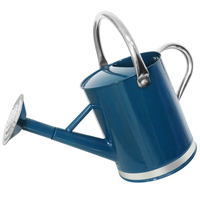 Arrosoir en métal de 1 gallon (3,8 L), arrosoir de jardin en acier, arrosoir en acier galvanisé pour l'extérieur et l'intérieur