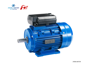 Moteur monophasé en aluminium 220V Série ML 0.5HP 1.5HP 2HP 4HP 5HP 1400 2800 tr/min 2 pôles 4 pôles Moteur électrique AC IP55 - Product Image 2