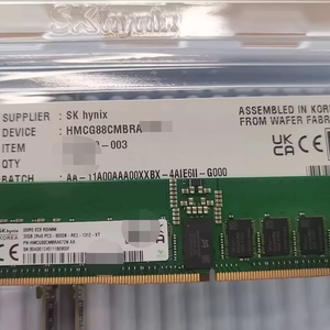 Módulo de Memoria para Servidor SK Hynix 32G 2R8 8000 RDIMM HMCG88CMBRA672N AA - Product Image 1