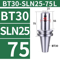 Porte-outil à verrouillage latéral BT30 BT40 BT50 SLN SLN25/SLN32 Centre d'usinage CNC Tour à fraiser U-Drill Poignée d'outil de perçage violent