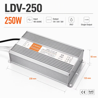 Alimentation LED étanche haute efficacité 250W 12V 24V 36V IP67 pour éclairage LED et enseignes dynamiques