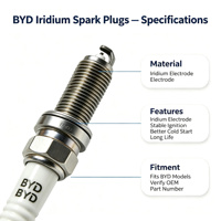 Bougies d'allumage Iridium BYD pour Qin Plus Song Plus DM-i 1.5L, OE 13505385-00, Allumage stable, démarrage à froid, longue durée de vie 80000KM