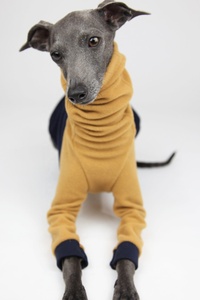 Qiqu Pet Supplies Custom New Designer Italian <strong>Greyhound</strong> Coats Whippet Sighthound Clothing <strong>Fleece</strong> <strong>for</strong> Dog Pullover Sweater Jumper - Product Image 4