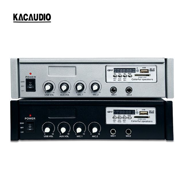 Public Address System Home 12v Power Amplifier Professional Mini Amplifier Module for Active Speaker