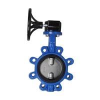 Katup Kupu-kupu Manual Tipe Lugged dengan Dudukan Lunak GGG40 PN16 DN50-300mm