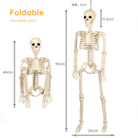 Neues Halloween Plastik-Skelettmodell 90cm mit Beweglichen Gelenken Lehrmittel Aufhängbar zur Dekoration Escape Room Requisiten
