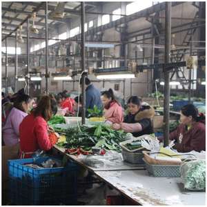 Großhandel Indoor Orchidee Rose Dekor Bulk ODM/OEM Künstliche <span class=keywords><strong>Petunia</strong></span> Weiße Blumen Große grüne künstliche Bäume für den Werbe gebrauch - Product Image 6