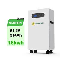 Module de stockage d'énergie LFP 51,2 V 200 Ah 314 Ah 10 kWh 16 kWh avec diagnostic automatique des pannes, pour accumulateur d'énergie solaire à grande échelle en configuration multi-parallèle