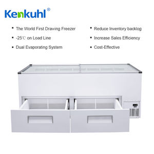 Kenkuhl 700L-800L helado paleta carne pastel exhibición congeladores frigoríficos <span class=keywords><strong>con</strong></span> cajón - Product Image 3