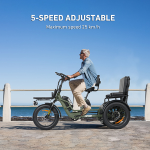 Triciclo de Dos Plazas para Adultos Vipcoo R1, Scooter de Tres Ruedas con Asientos para Pasajeros Vc-r1 - Product Image 4