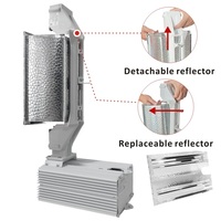 Lámpara de Cultivo HPS de 1000W, Lámpara de Sodio de Alta Presión de Doble Extremo con Balastro Electrónico