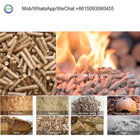 Brûleur à granulés de bois de biomasse pour système de chauffage chaudière Machine à granulés pour combustible de biomasse