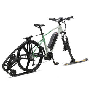 TXED nuevo diseño 7 velocidades 36V/350W Motor medio E <span class=keywords><strong>MTB</strong></span> F/R freno de disco mecánico bicicleta de nieve eléctrica - Product Image 3